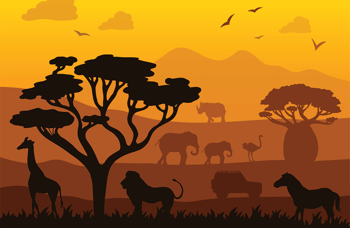 intui-travel-transfer-africa