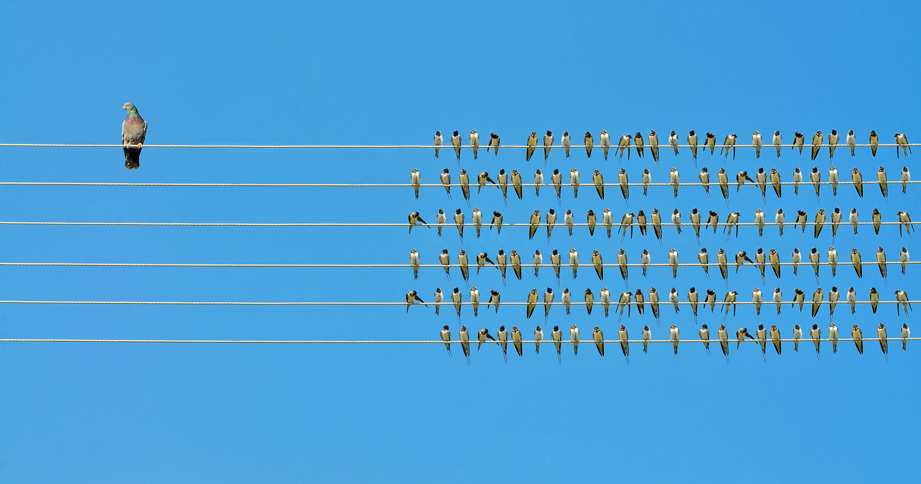 Делаем выбор: большой тревел-портал или несколько нишевых сайтов